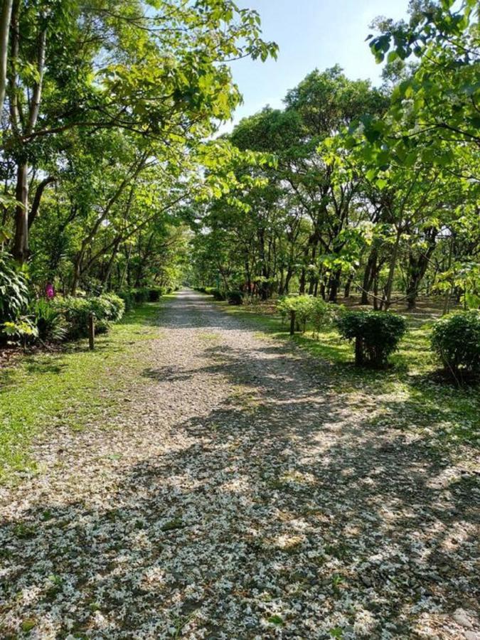 花蓮金澤居民宿樹窩民宿御安居民宿寵物友善 Ji'an Extérieur photo