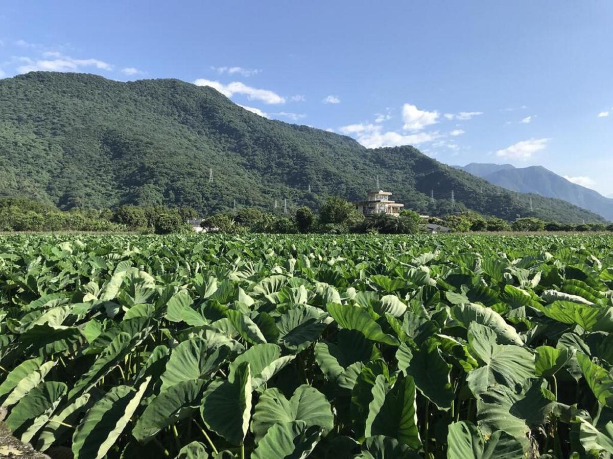 花蓮金澤居民宿樹窩民宿御安居民宿寵物友善 Ji'an Extérieur photo